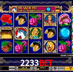 2233bet Rio de Janeiro - Bonus Terms